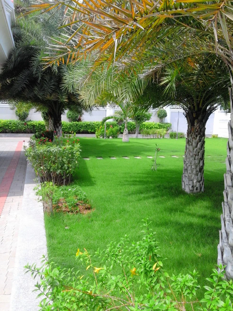 Organic & Inorganic Manure